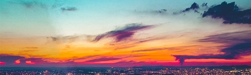 河南茶虫网_河南品茶